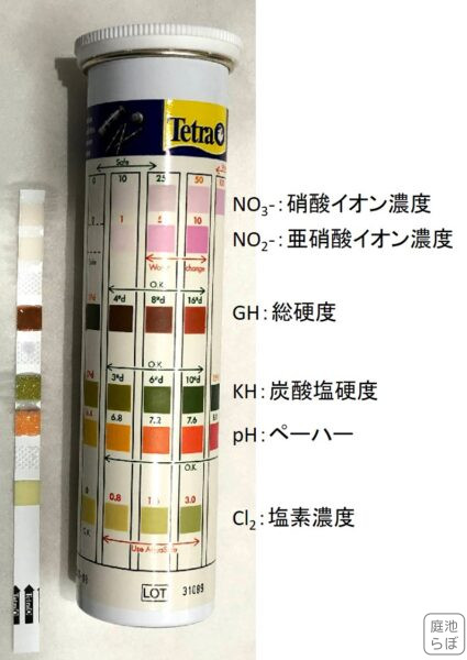 水質チェック結果